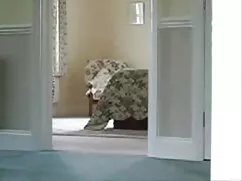 Procace striscia fil ...