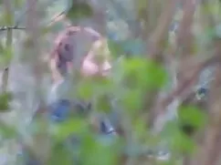 Viso adolescenti sen ...