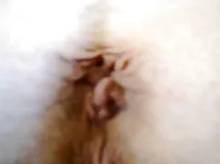 Due babes hentai dai ...