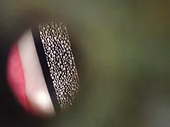 Jillian janson cerch ...