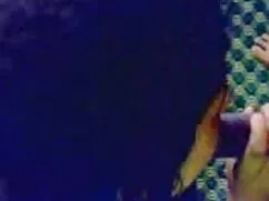 Indiano corneo film  ...