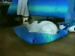 Brazzers-cazzo prima ...