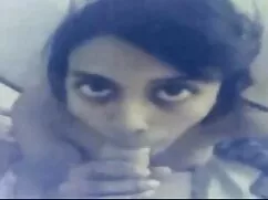 Volpe bionda Daisy M ...