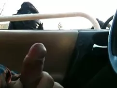 Pollo tedesco filmat ...