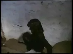 Nora Davis-Compilazi ...